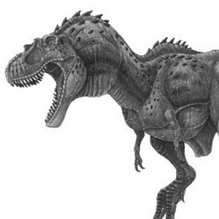 Albertosaurus