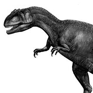 Allosaurus
