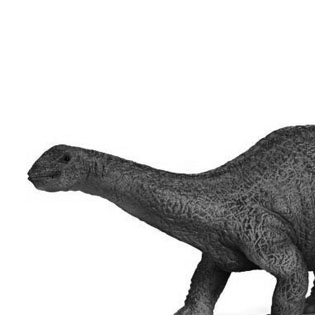 Apatosaurus