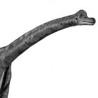 Brachiosaurus