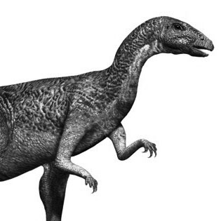 Dryosaurus