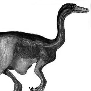 Gallimimus