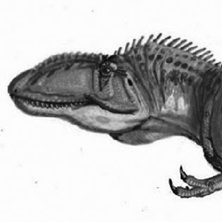 Giganotosaurus