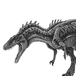 Herrerasaurus