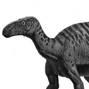 Iguanodon