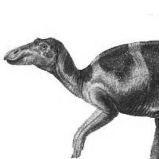 Maiasaura