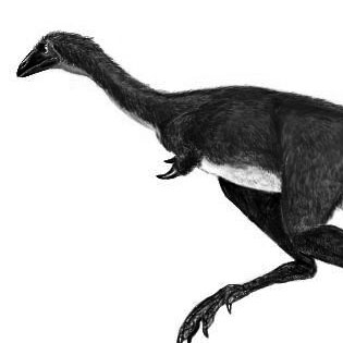 Mononykus