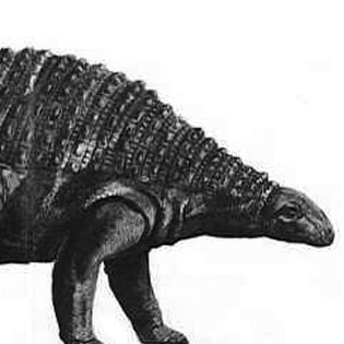 Nodosaurus