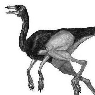 Ornithomimus