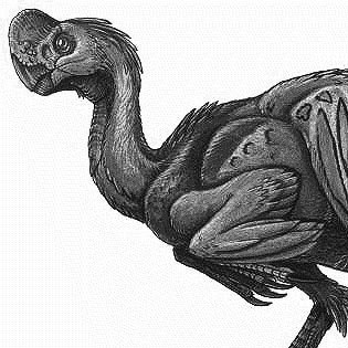 Oviraptor