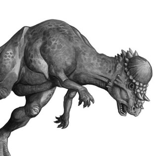 Pachycephalosaurus