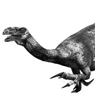 Plateosaurus