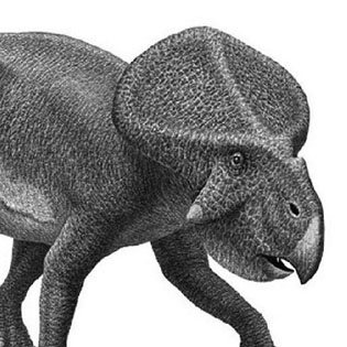 Protoceratops