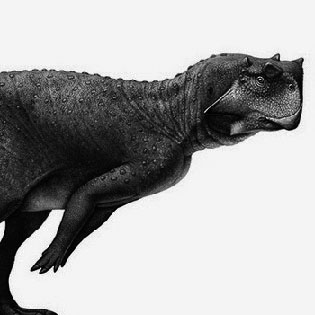 Psittacosaurus