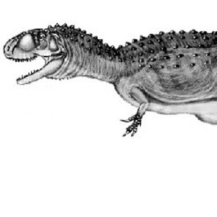 Rugops