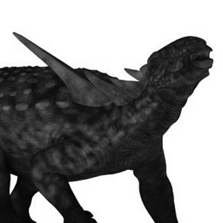 Sauropelta