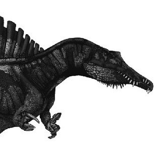Spinosaurus