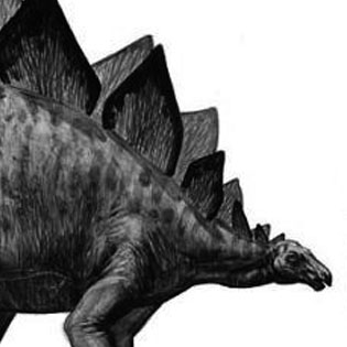 Stegosaurus