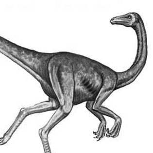 Struthiomimus