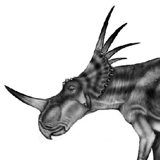 Styracosaurus