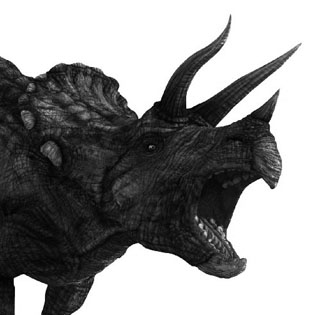 Triceratops