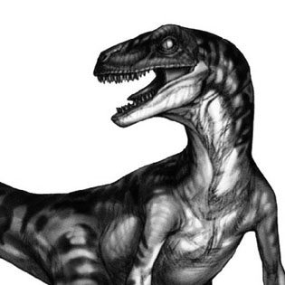 Velociraptor