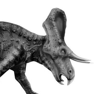 Zuniceratops