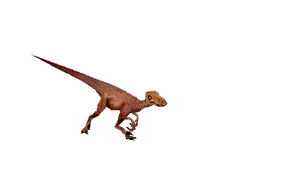 Velociraptor